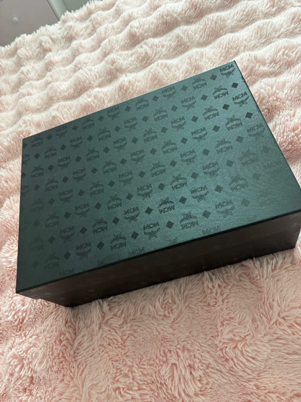 Authentic Black MCM slides